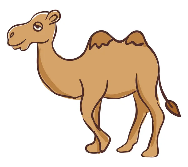 Верблюд в десерт, вектор или цветная иллюстрация — стоковый вектор