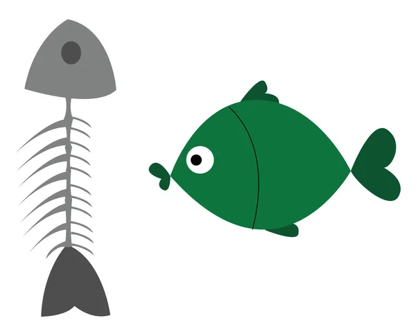 鱼的骨架，矢量或颜色插图 — 图库矢量图片