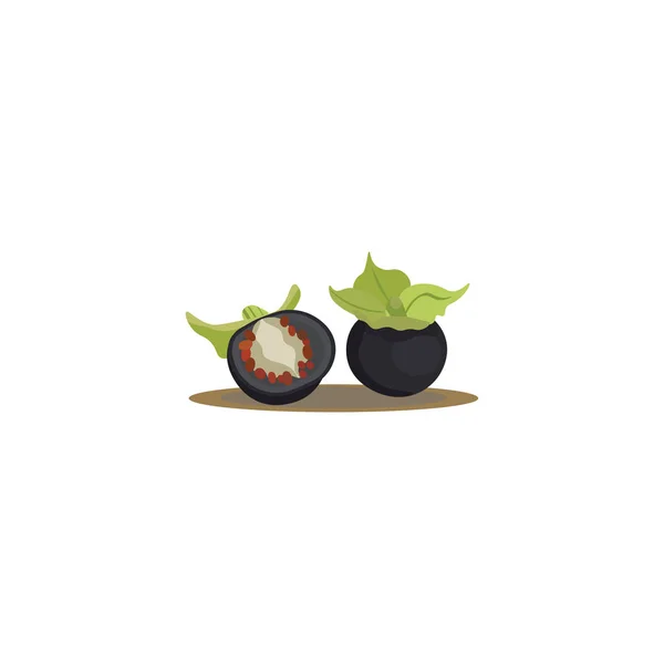 Eine schwarze gesunde Jaltomatenfrucht, Vektor- oder Farbabbildung — Stockvektor