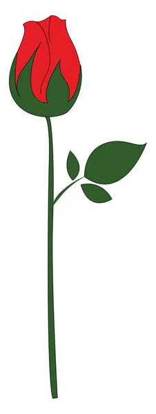 ClipArt av den röda rosen, vektor eller färg illustration — Stock vektor