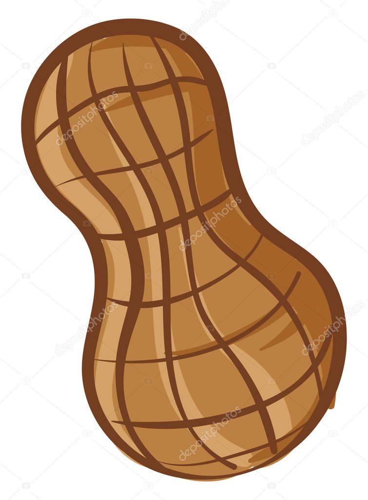Clipart of a single and cute brown peanut over white background,