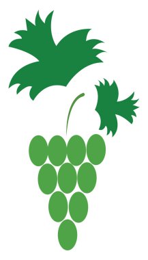 Yeşil Üzüm, vektör veya renk illüstrasyon. 