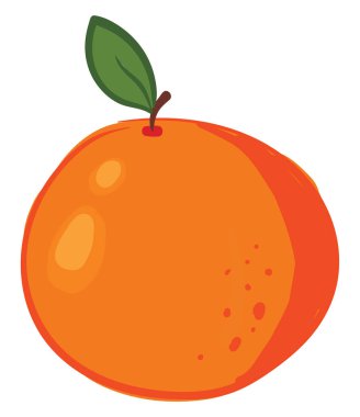 Turuncu güzel, vektör veya renk illüstrasyon. 