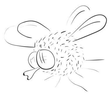 Çizim sineği, vektör veya renk çizimi. 