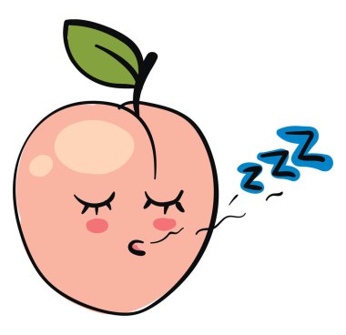 Uyuyan kayısı, vektör veya renk illüstrasyon. 