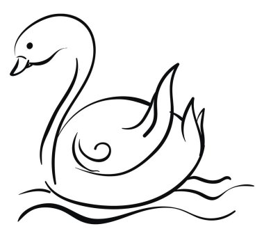 Fro görüntülenen beyaz arka plan üzerinde siyah bir kuğu özetlenen kroki