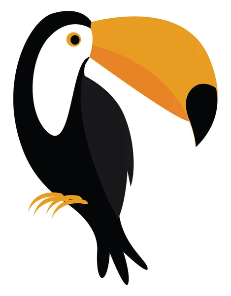 Portada del hermoso pájaro tucán en negro, blanco y amarillo — Archivo Imágenes Vectoriales