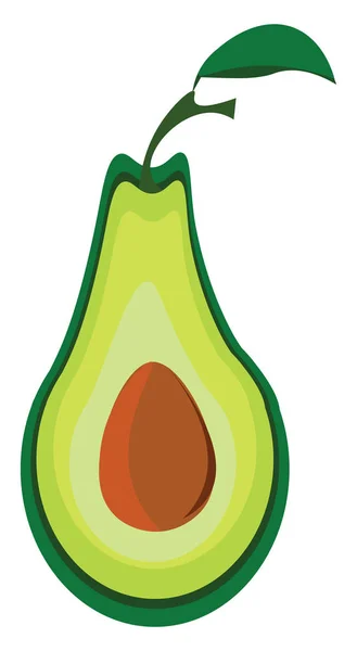 Avocado 2, vektor atau ilustrasi warna . - Stok Vektor