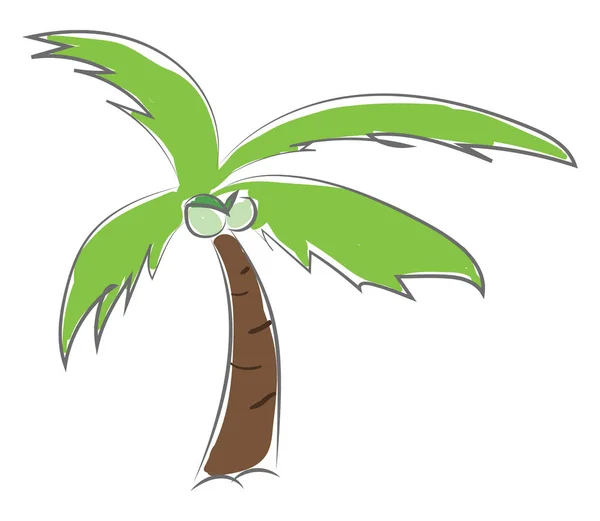 Ett stort palmträd, vektor-eller färg illustration. — Stock vektor