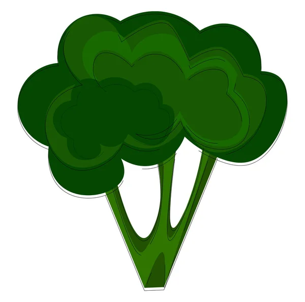 Brócolis 2, ilustração vetorial ou colorida . —  Vetores de Stock