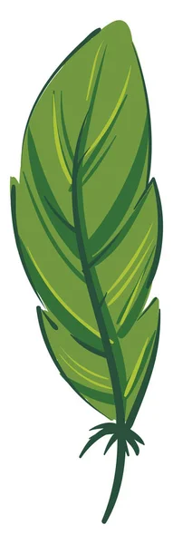 Pluma verde, vector o ilustración en color . — Archivo Imágenes Vectoriales