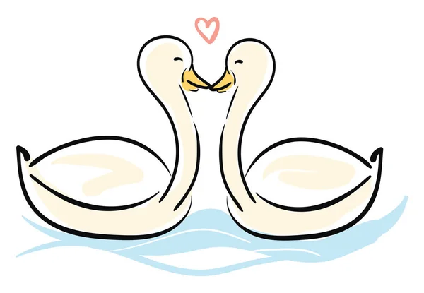 Cisnes de amor, vector o ilustración en color . — Vector de stock