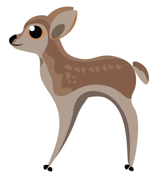 Image of baby deer, vector or color illustration. — Stock Vector