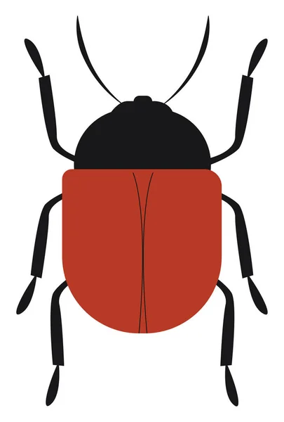 Käfer-, Vektor- oder Farbabbildung. — Stockvektor