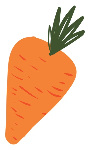 Изображение моркови, вектора или цветной иллюстрации . — стоковый вектор