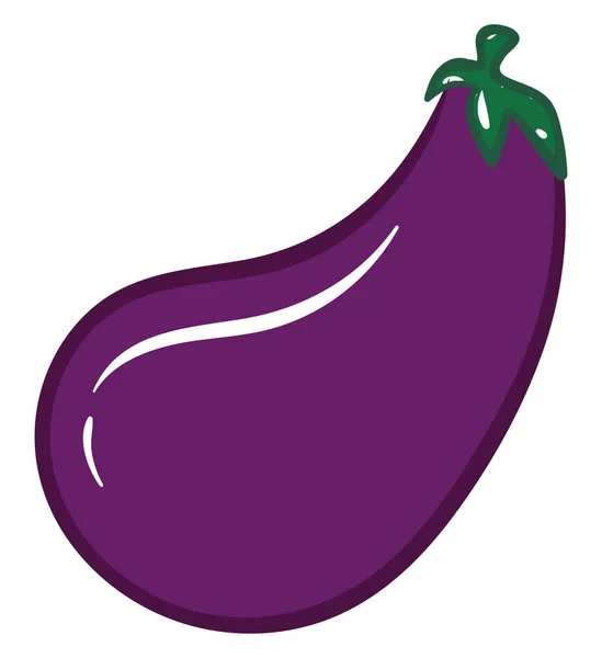 Image of eggplant, vector or color illustration. — Stock Vector