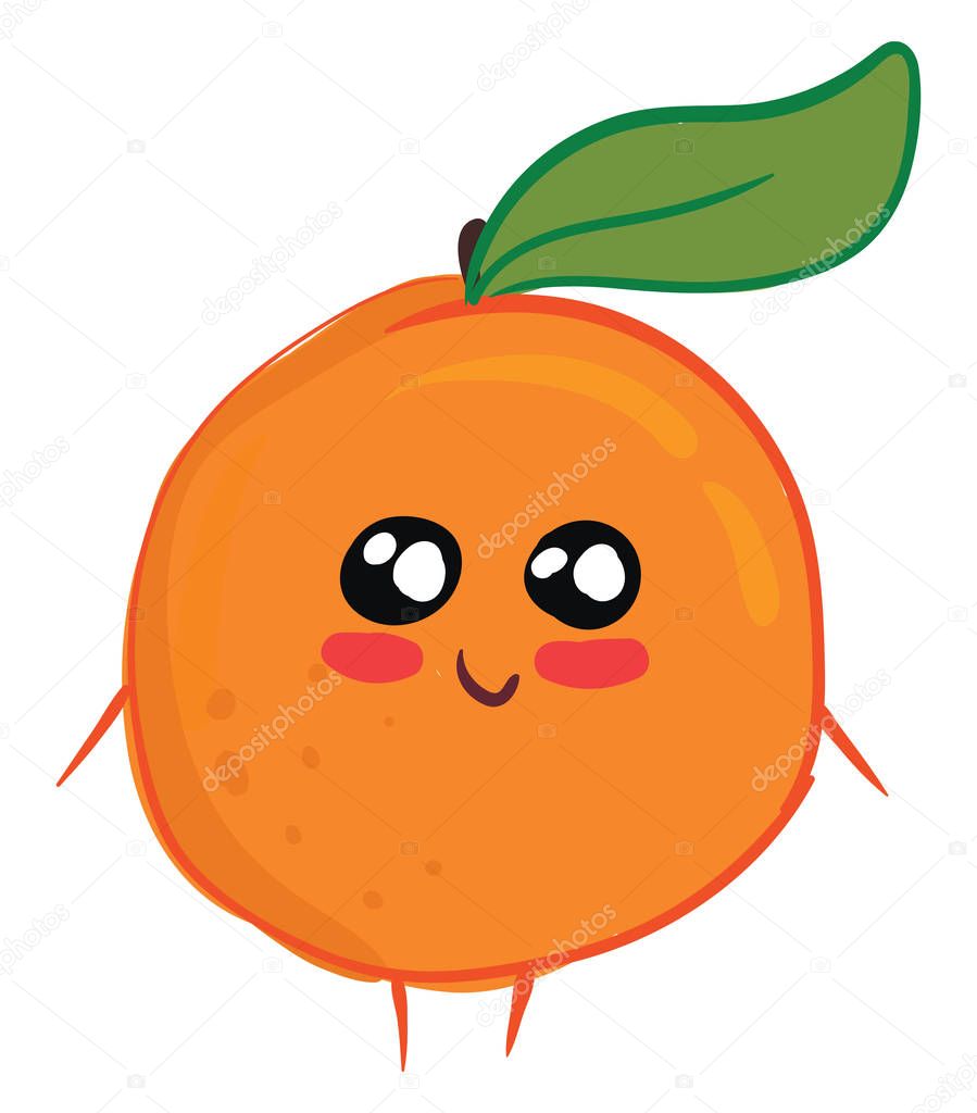 Orange with a leaf illustration, vector or color illustration. 
