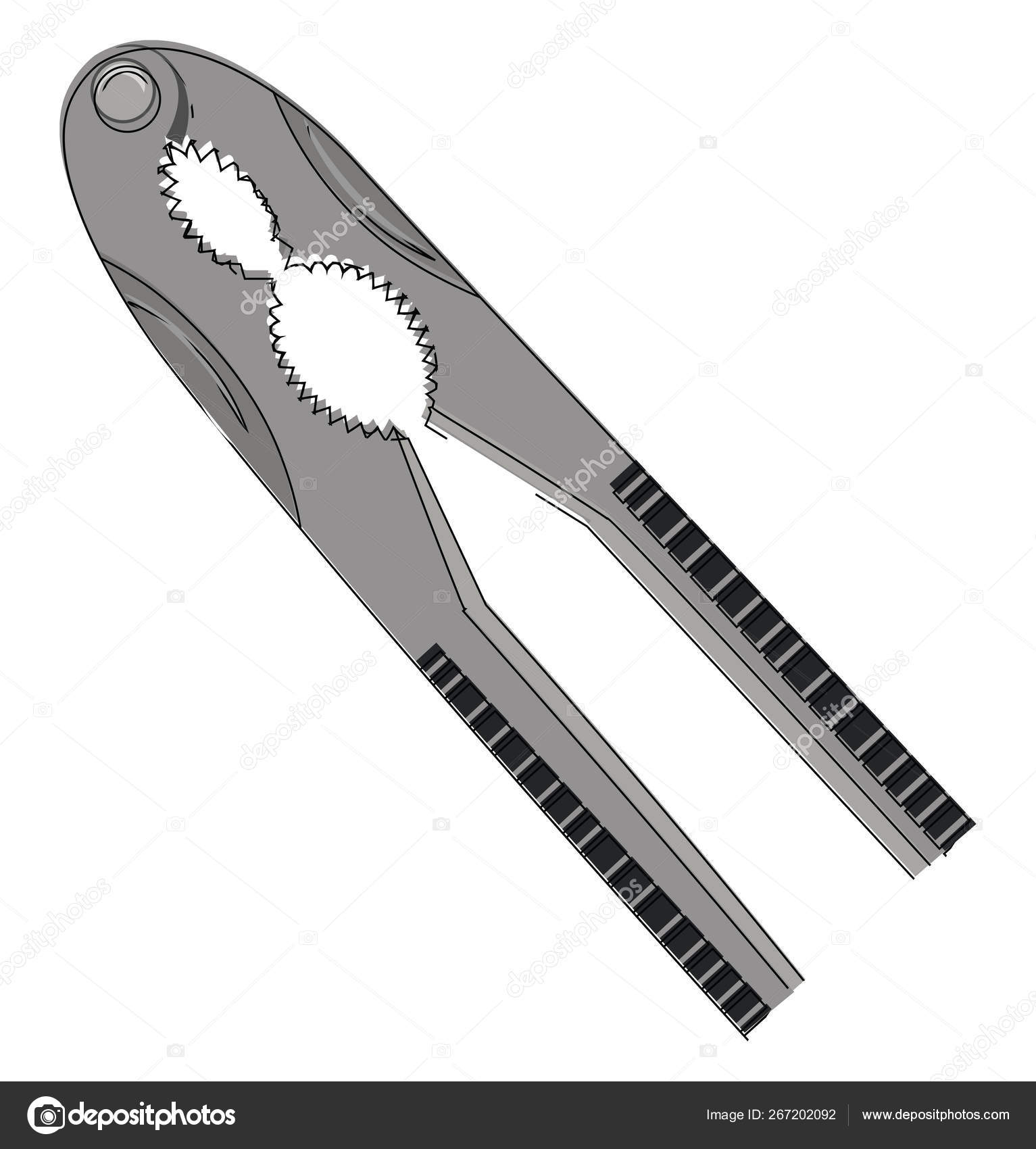 Quebra-nozes, vetor ou ilustração a cores . Vetor de ©Morphart 267202092, image size:1533x1700