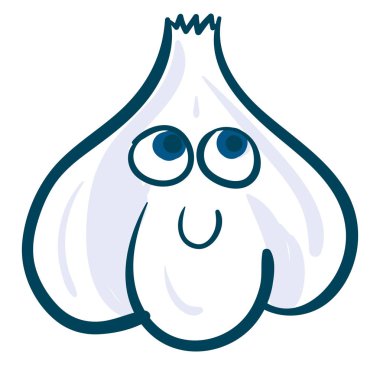 Mutlu sarımsak, vektör veya renk illüstrasyon.