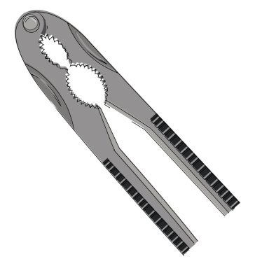 Fındıkkıran, vektör veya renk çizimi.