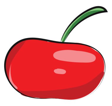 Kırmızı elma, vektör veya renk illüstrasyon.