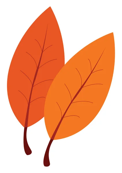 주황색, 벡터 또는 컬러 일러스트가 있는 두 개의 잎. — 스톡 벡터