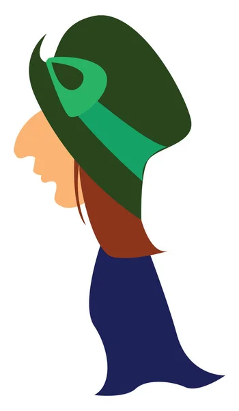 Yeşil şapkalı ve mavi cüppeli, vektörlü veya renkli illüstrasyonlu bir adam — Stok Vektör
