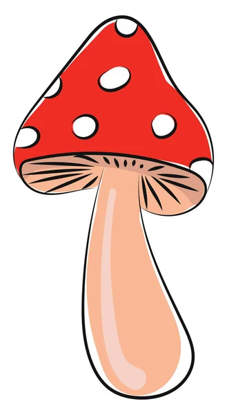 Mushroom, vector or color illustration. — Stock Vector