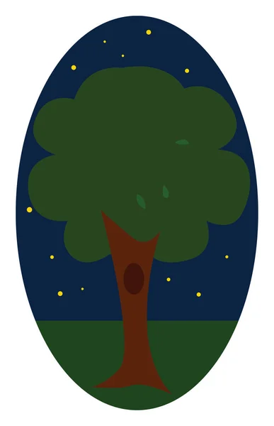 Night tree, vector or color illustration. — Stock Vector