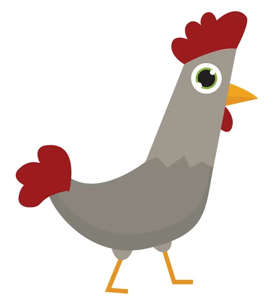 Grey rooster, vector or color illustration. — Stock Vector