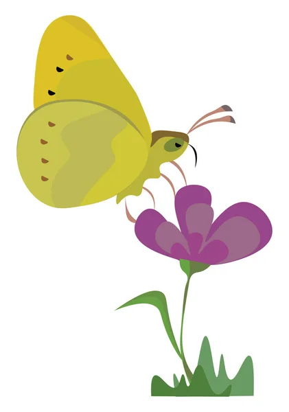 Uma borboleta amarela em uma flor em um, vetor ou ilustrati cor — Vetor de Stock