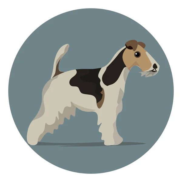 Un'illustrazione a colori di un cane volpe terrier filo, vettore o colore — Vettoriale Stock