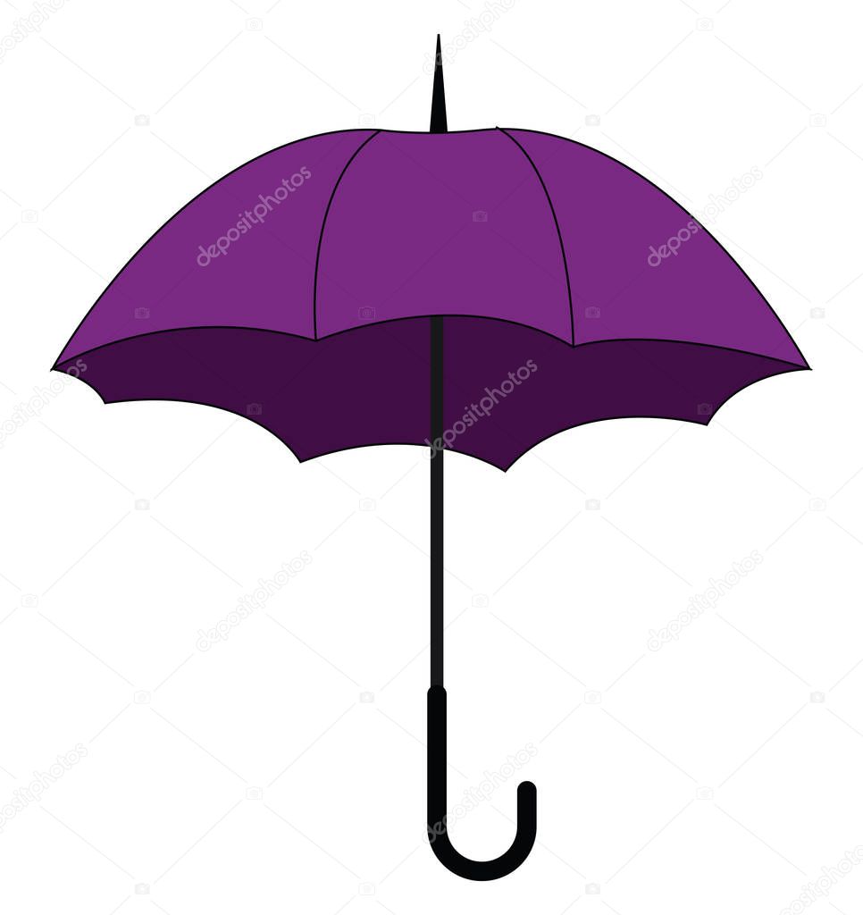 Purple umbrella, vector or color illustration.