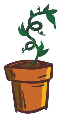 Koyu yeşil bitki, vektör veya renk illüstrasyonu.