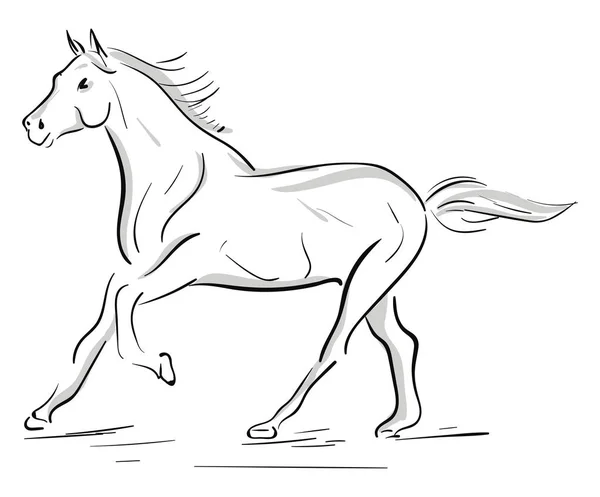 Běžící koňská silueta, vektorová nebo barevná ilustrace. — Stockový vektor