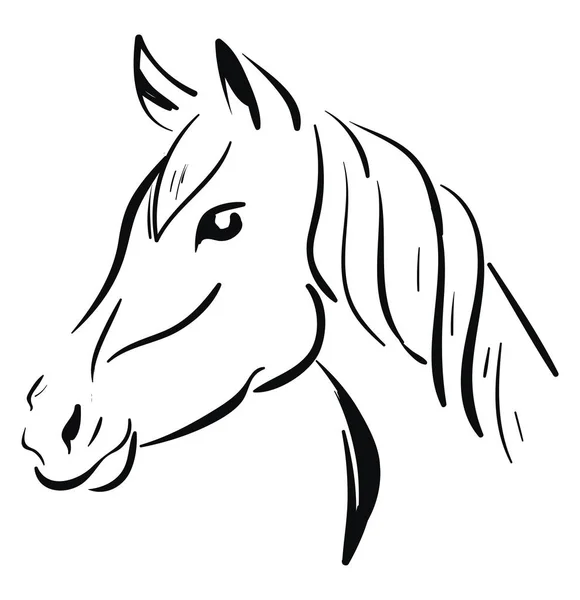Набросок лошади, вектор или цветная иллюстрация . — стоковый вектор
