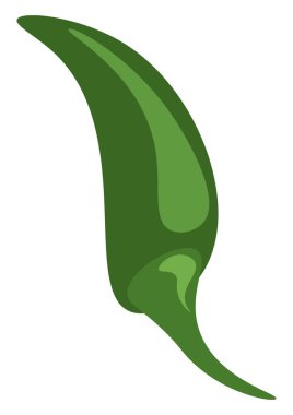 Yeşil jalapeno, vektör veya renk illüstrasyonu.