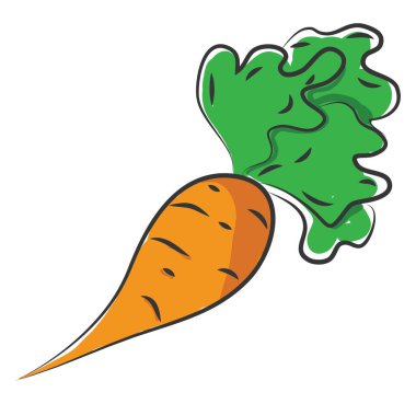 Yapraklı havuç, vektör veya renk illüstrasyonu.