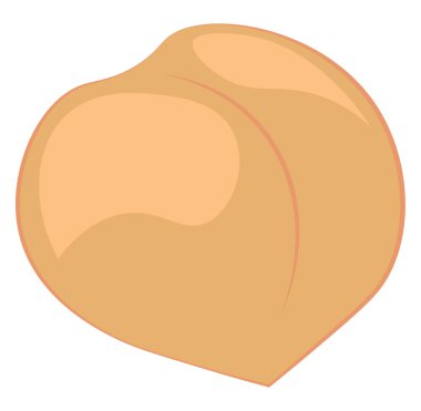 Taze şeftali, vektör veya renk illüstrasyonu.