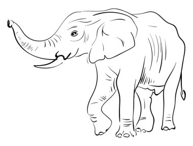 Fil, vektör veya renk çiziminin çizimi.