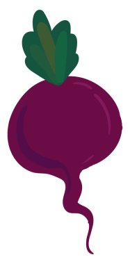 Mor pancar, illüstrasyon, beyaz arka plan vektör.