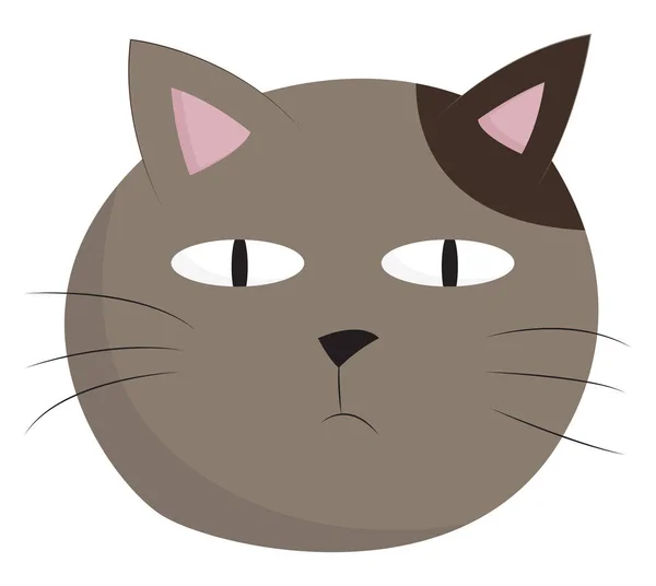 Серый кот, вектор или цветная иллюстрация . — стоковый вектор
