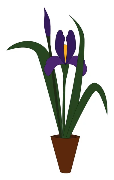 Uma planta da íris com uma flor roxa, vetor ou ilustração colorida —  Vetores de Stock