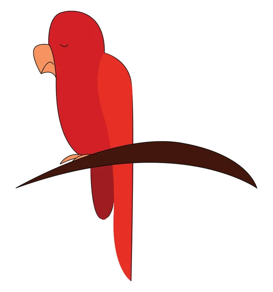 树上的鹦鹉，矢量或彩色插图. — 图库矢量图片