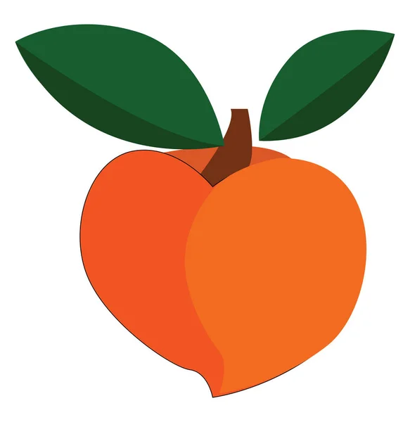 En söt persika, vektor eller färg illustration. — Stock vektor