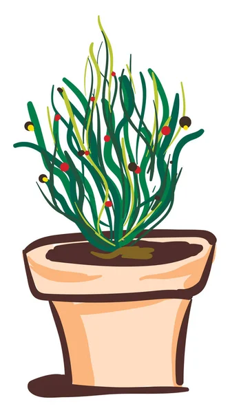 Une plante feuillue dans un pot, un vecteur ou une illustration couleur . — Image vectorielle