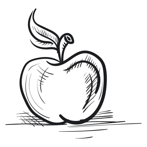 Skiss av ett äpple, vektor eller färg illustration. — Stock vektor