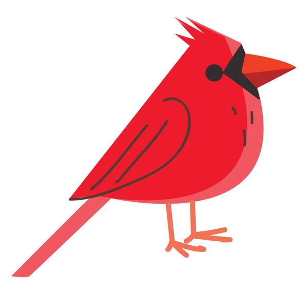 A red bird, vector or color illustration. — Stock Vector