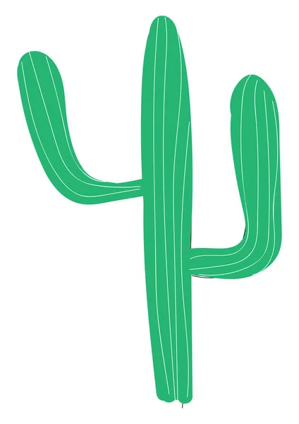 Sebuah kaktus panjang, vektor atau ilustrasi warna . - Stok Vektor