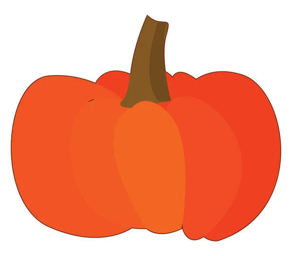 Calabaza grasa, vector o ilustración en color . — Vector de stock